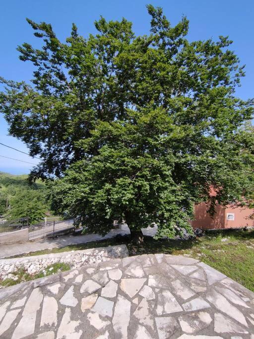 Nature Escape Montenegro Κότορ Εξωτερικό φωτογραφία