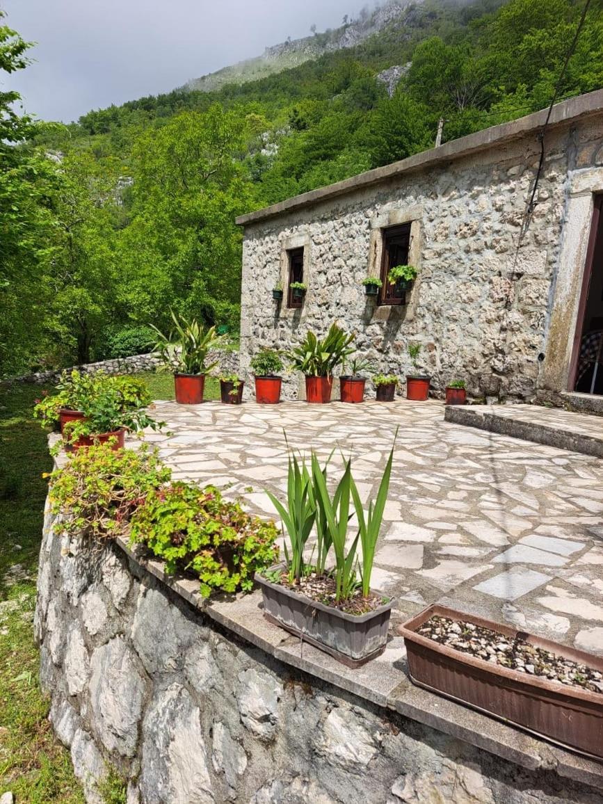 Nature Escape Montenegro Κότορ Εξωτερικό φωτογραφία