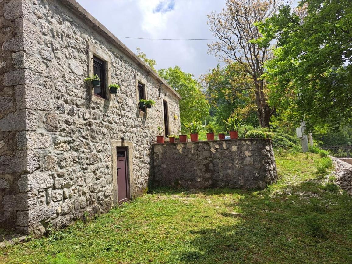 Nature Escape Montenegro Κότορ Εξωτερικό φωτογραφία