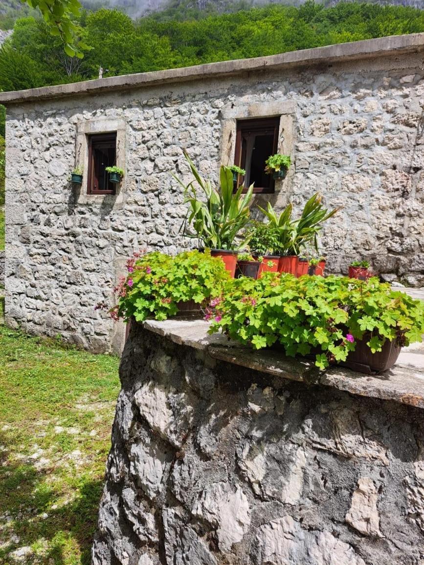Nature Escape Montenegro Κότορ Εξωτερικό φωτογραφία