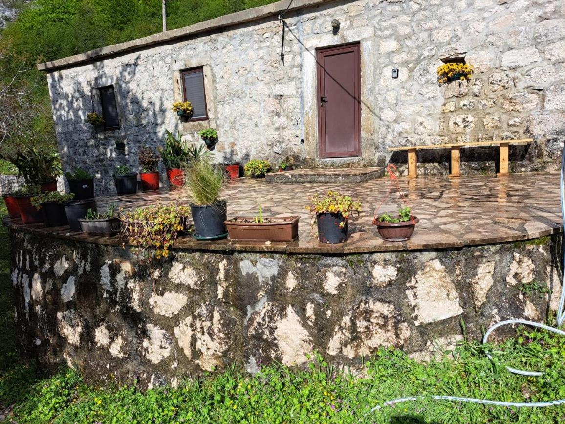 Nature Escape Montenegro Κότορ Εξωτερικό φωτογραφία