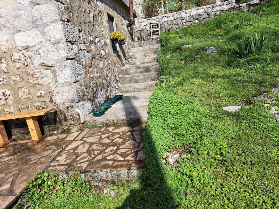 Nature Escape Montenegro Κότορ Εξωτερικό φωτογραφία