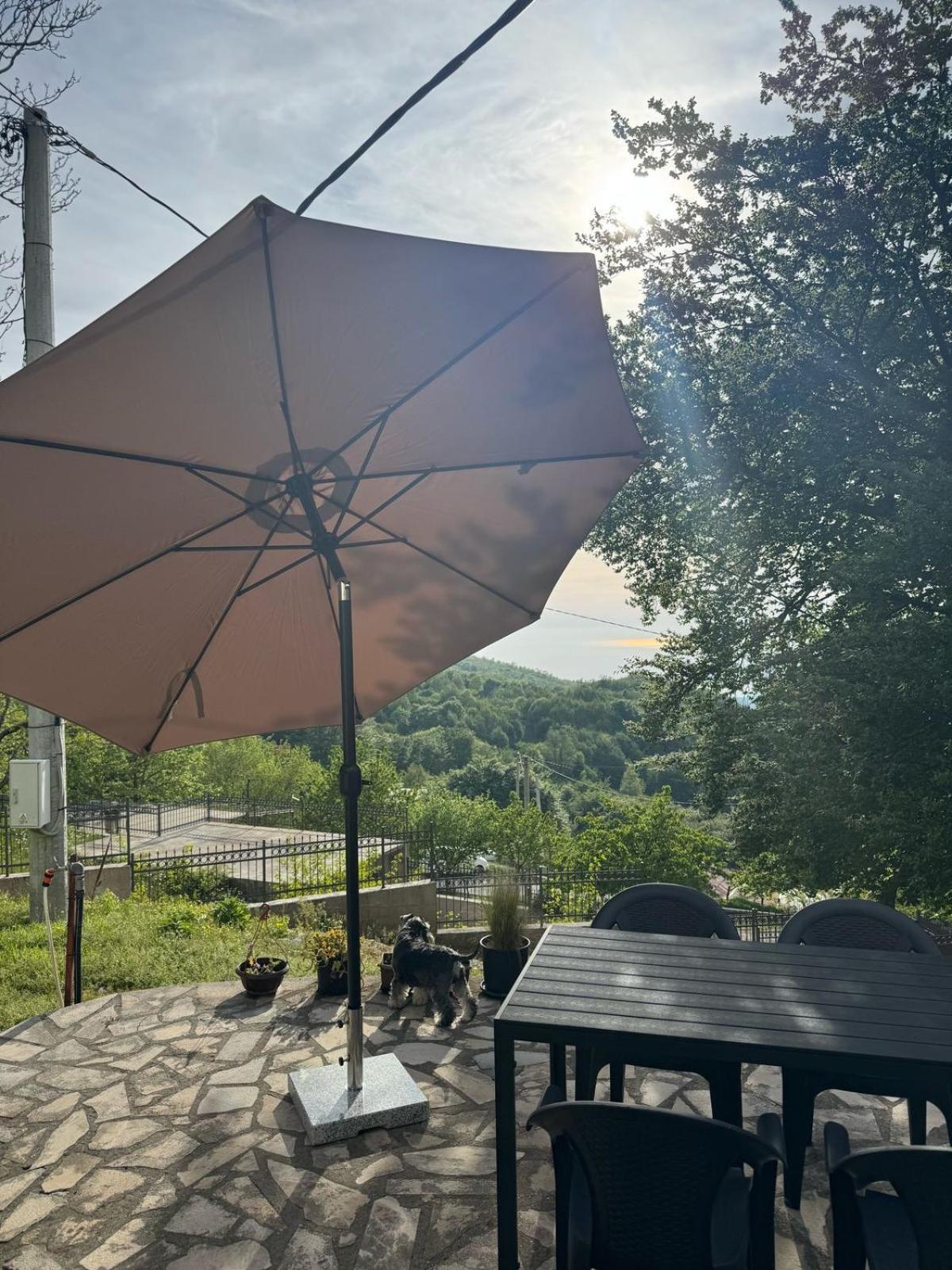 Nature Escape Montenegro Κότορ Εξωτερικό φωτογραφία