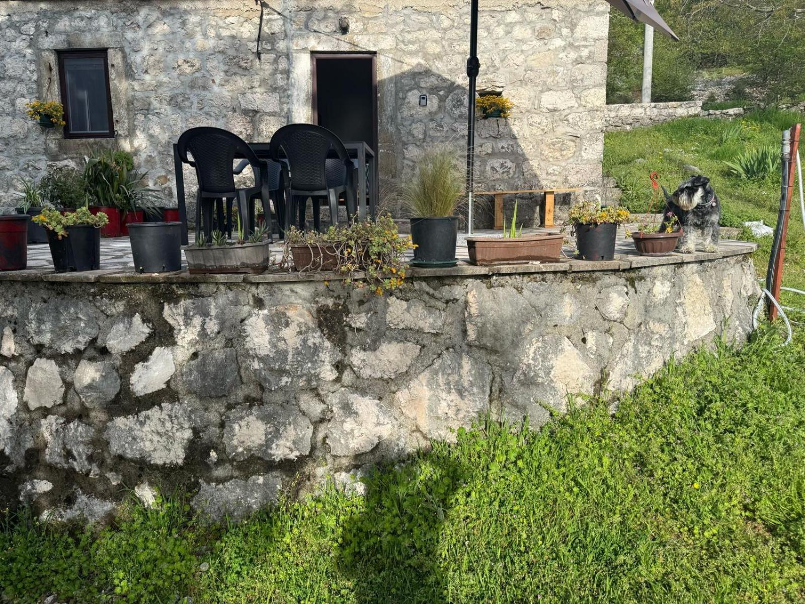 Nature Escape Montenegro Κότορ Εξωτερικό φωτογραφία