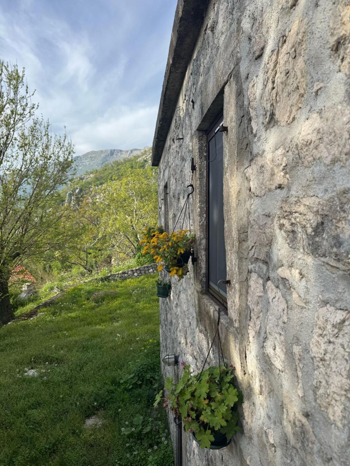 Nature Escape Montenegro Κότορ Εξωτερικό φωτογραφία