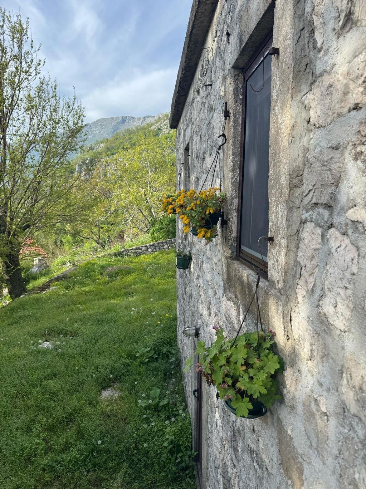 Nature Escape Montenegro Κότορ Εξωτερικό φωτογραφία